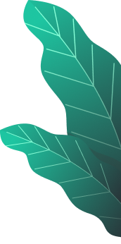 ixaya